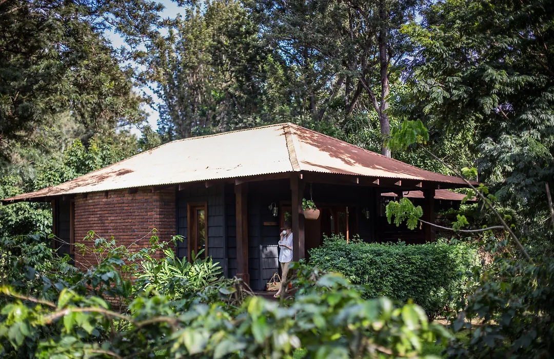 Elewana Arusha Coffee Lodge-1